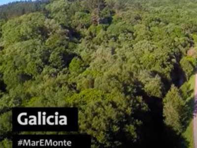 Galicia é Mar e Monte|